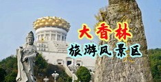 男人j鸡插女人洞洞的视频动漫中国浙江-绍兴大香林旅游风景区